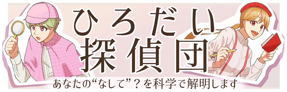 ひろだい探偵団