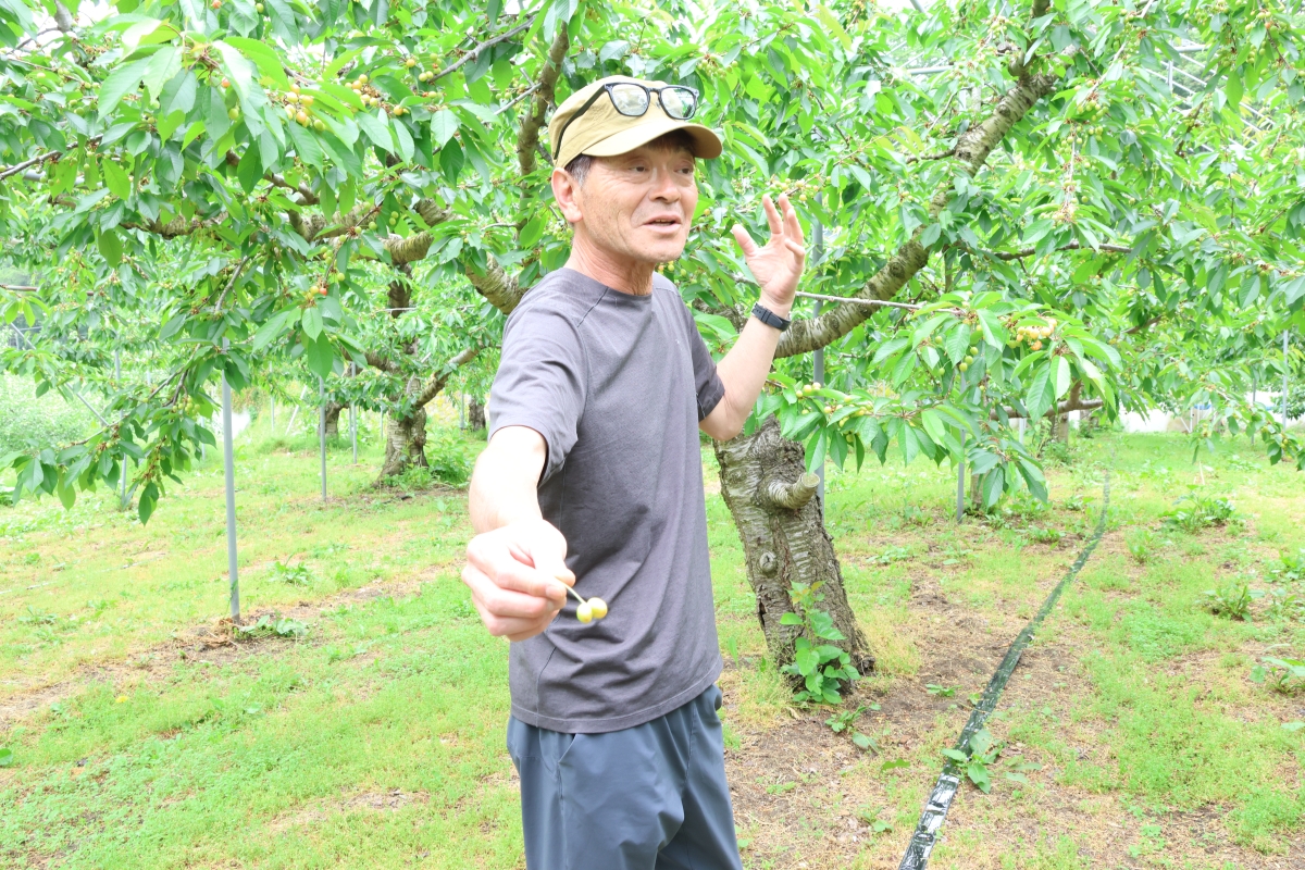摘果について説明する留目さん